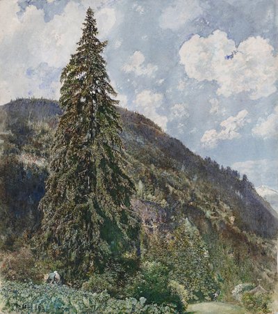 The Old Spruce in Bad Gastein by Rudolf von Alt